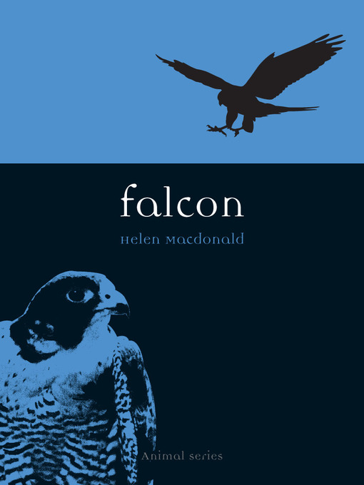 Title details for Falcon by Helen Macdonald - Available
